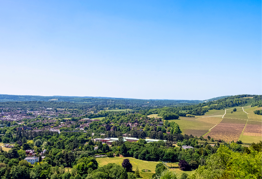 East Horsley 1