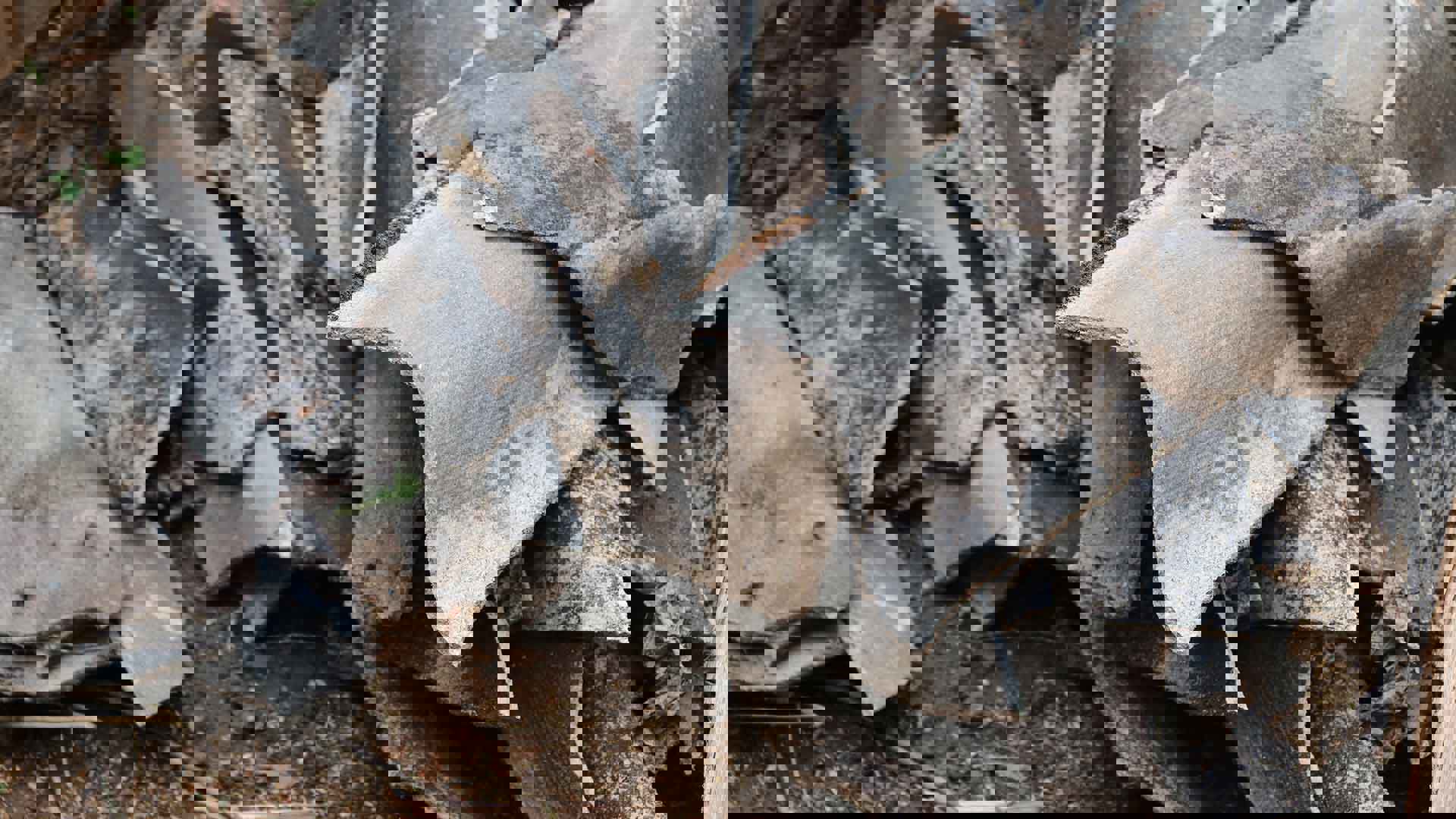 Adobestock 432498786